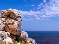 Cape Point Nature Reserve